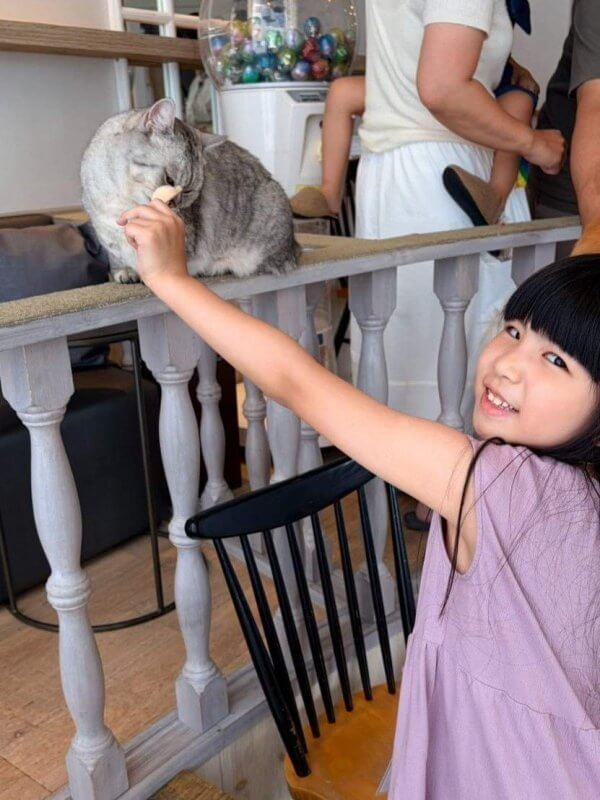 Learn Japanese Summer Camp